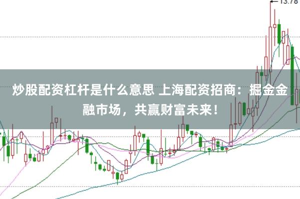 炒股配资杠杆是什么意思 上海配资招商：掘金金融市场，共赢财富未来！
