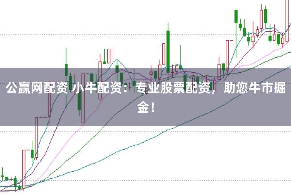 公赢网配资 小牛配资:专业股票配资,助您牛市掘金!
