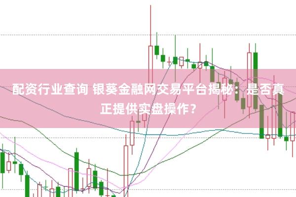 配资行业查询 银葵金融网交易平台揭秘：是否真正提供实盘操作？