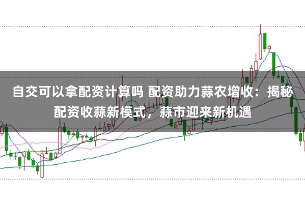 自交可以拿配资计算吗 配资助力蒜农增收:揭秘配资收蒜新模式,蒜市迎来新机遇