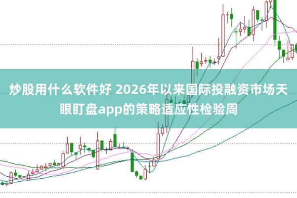 炒股用什么软件好 2026年以来国际投融资市场天眼盯盘app的策略适应性检验周