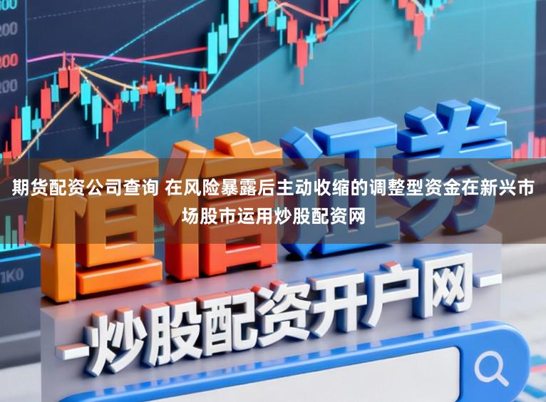 期货配资公司查询 在风险暴露后主动收缩的调整型资金在新兴市场股市运用炒股配资网